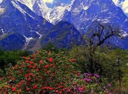 Beauty Of North Sikkim Tour