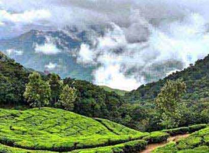 Emerald Kerala Tour