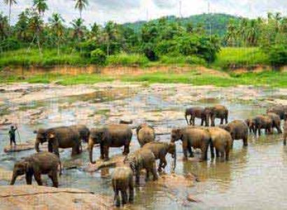 Srilanka Ashok Vatika Ramayana Tour