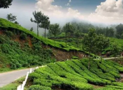 Mystic Munnar Tour