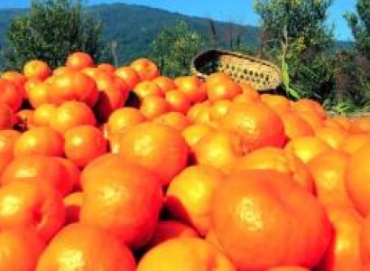 Emerald North Bengal with Nature of Sikkim Tour