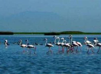 04 Days Puri Bhubaneswar Konark Tour Package