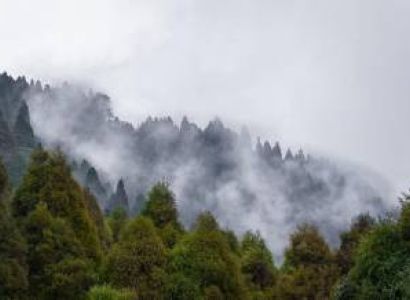 05 Days Tinchuley Lepchajagat Lamahata Kalimpong Tour