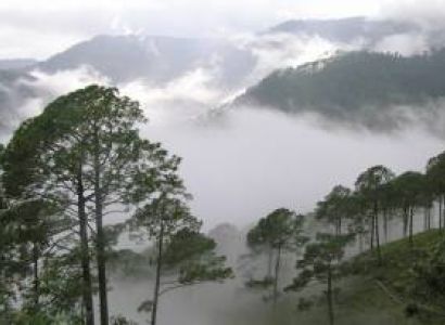 Visakhapatnam Lambasingi Araku Tour