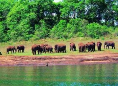 Packages in Thekkady