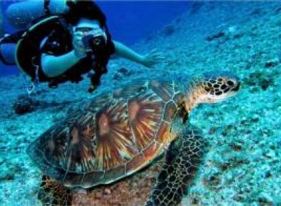 05 Days Pleasent Andaman