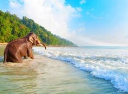 05 Days Pleasent Andaman