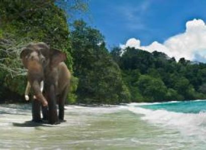 04 Days Andaman Delight