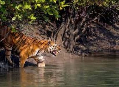 03 Days Sundarban Resort Package