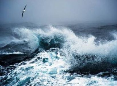 Antarctica Expedtion Cruise