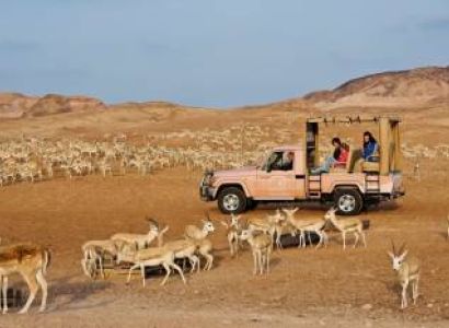 04 Days Iconic Arabian Cruise