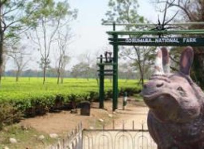 Bagdogra Tour Packages