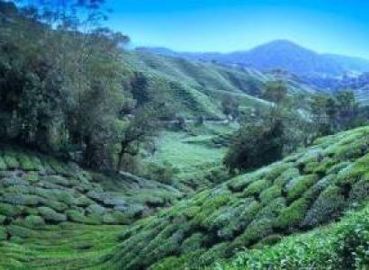 Luxurious Getaway to Darjeeling – Tour Package