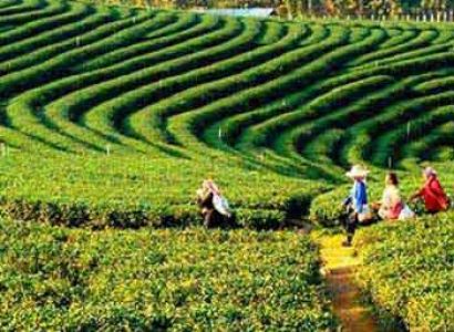 North East India Travel Agent – Tour Package