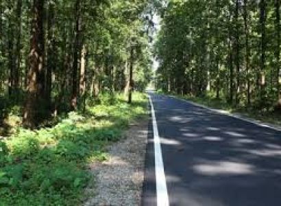 Bagdogra Tour Packages