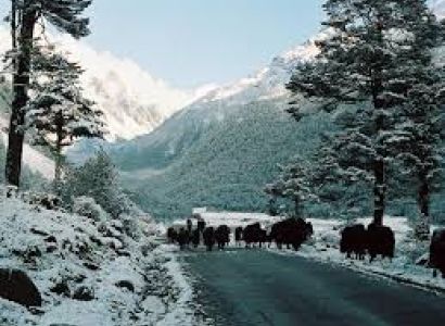 Delight Gangtok & Pelling Tour