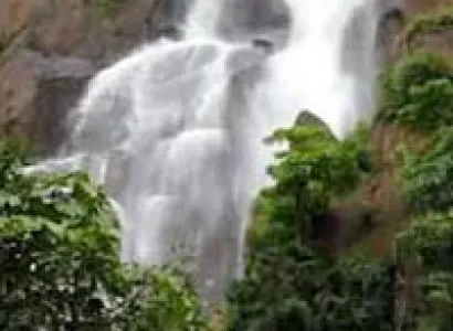 Ranchi, Netarhat & Betla (Totally - 3 Nights 4 Days) Tour