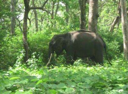 3 Nights Jharkhand Tour