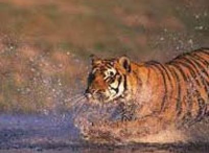 Short Escape to Sunder bans Tour