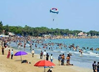 Wildlife & Beach Tour