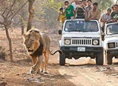 Wildlife & Beach Tour