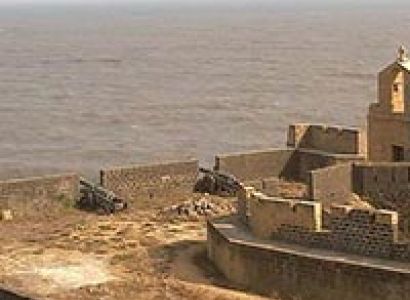 Wildlife & Beach Tour