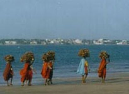 Best of somnath package