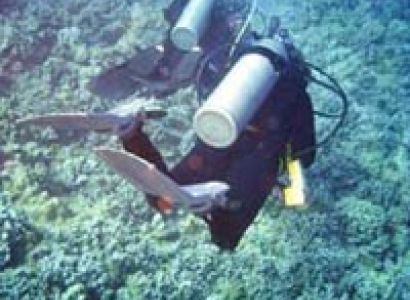 Adventures Tour Package