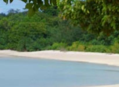 Special Honeymoon Package Tour