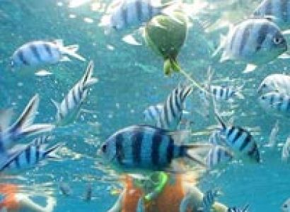 Unexplored Destination Andaman Tour