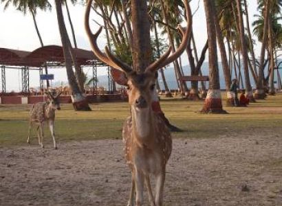 Packages in Havelock