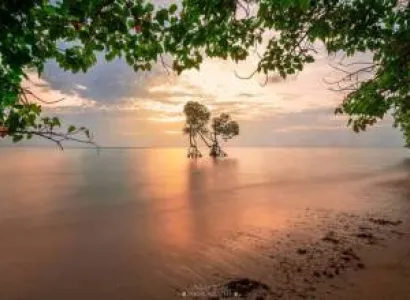 Packages in Baratang Island