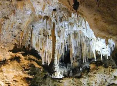 Packages in Baratang Island