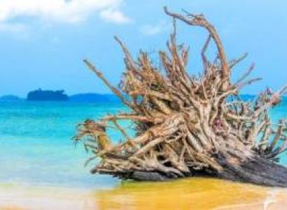 Packages in Baratang Island