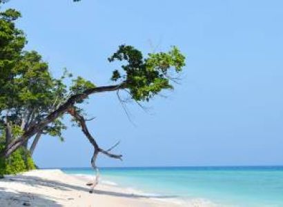 Packages in Havelock