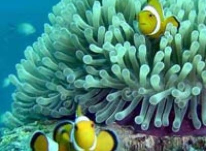 Exclusive Family Tour Package