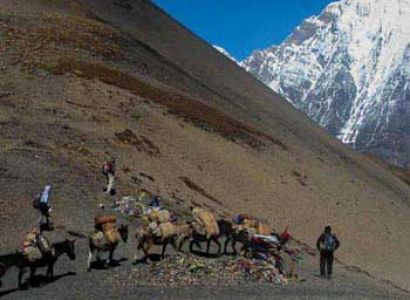 Laya Gasa Trekking Tour