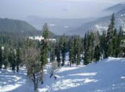 Shimla Tour Package