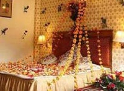 Manali Honeymoon special Tour