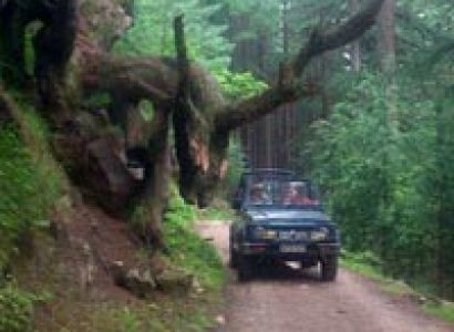 Manali To Bijli Mahadev Tour