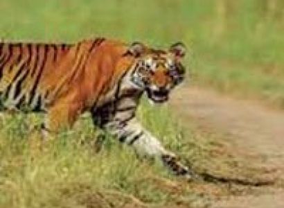 Chandigarh Corbett Weekend Tour