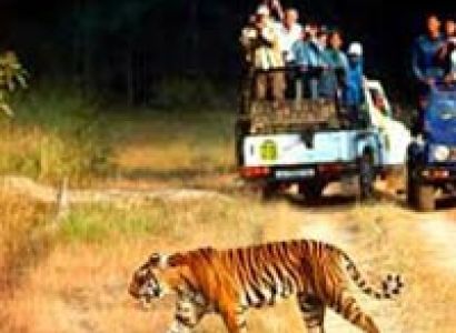 Nainital - Corbett Tour