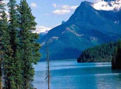 Nainital - Corbett - Haridwar Tour