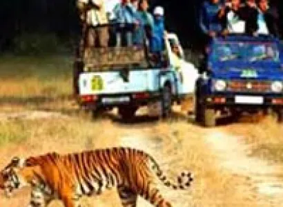 Delhi - Nainital - Ranikhet tour