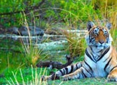 Jaipur - Ranthambhore Tour