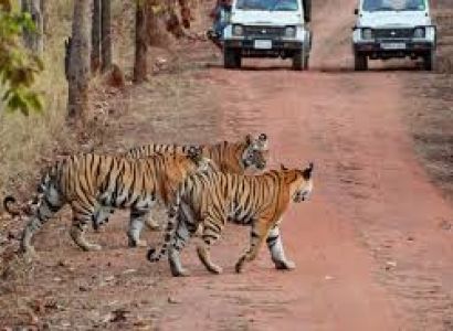 Chandigarh With Corbett Weekend Tour