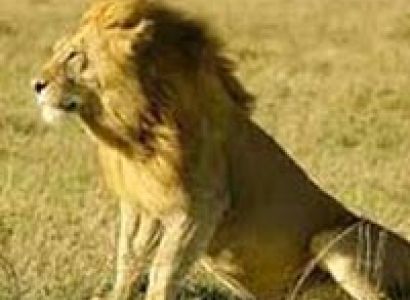 Somnath Tour Package