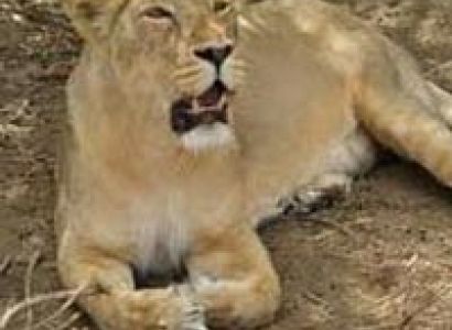 Tour Package In Somnath