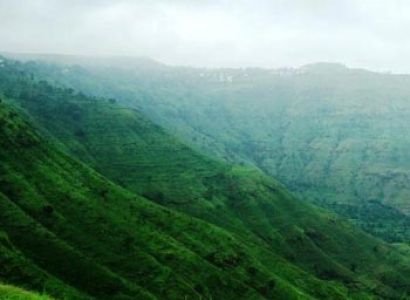 Gir Wildlife India Tour