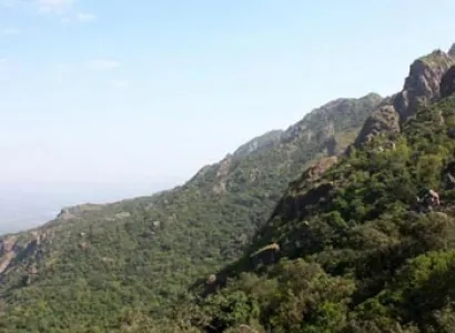 Pushkar - Mount Abu Tour